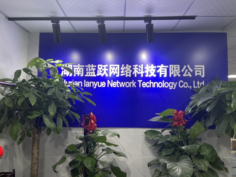 중국 Hunan Lanyue Network Technology Co., Ltd. 회사 프로필